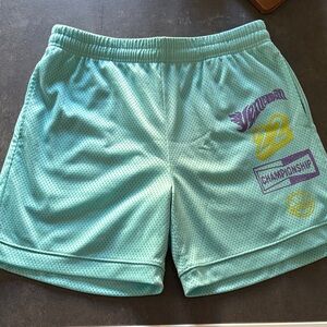 Blank NYC Teal Athletic Shorts